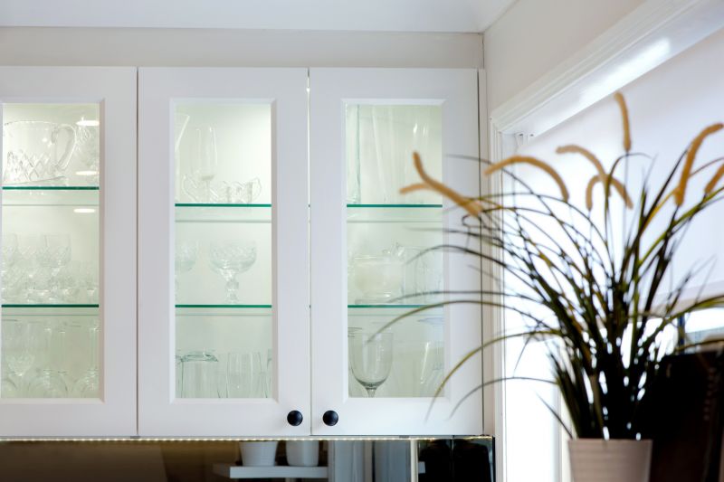 Glass Cabinets Installation in Carmel, IN